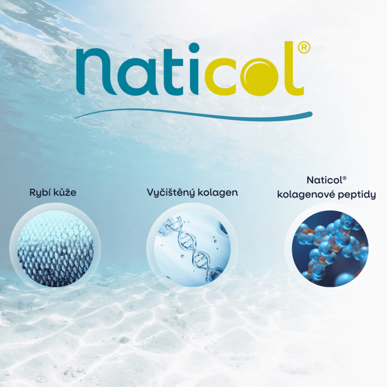 2 nauticol